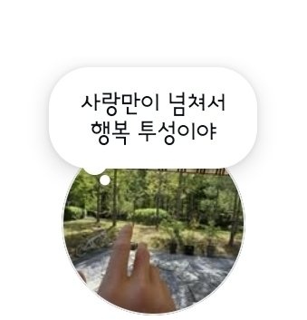 계정터진 점 tweet media