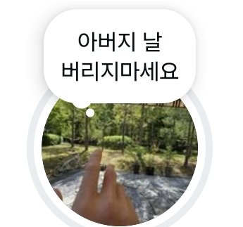 계정터진 점 tweet media