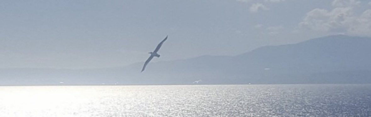 pituximenez's tweet photo. ¡…Y si tienes que volar lejos duele, claro que duele, pero también forma parte del amor auténtico: desear tu felicidad ….Amor se llama…! https://t.co/VgJGJwRB6Z