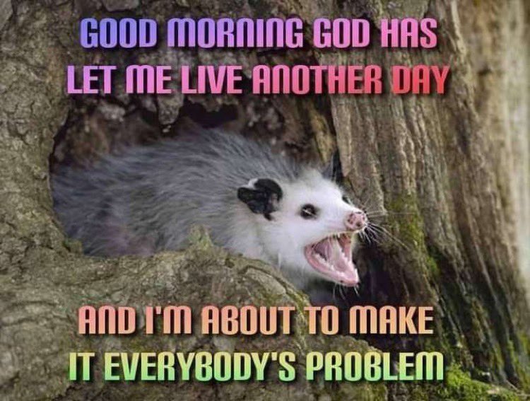 KevinMDaBess's tweet photo. monday mood https://t.co/fRBaQTMvxL