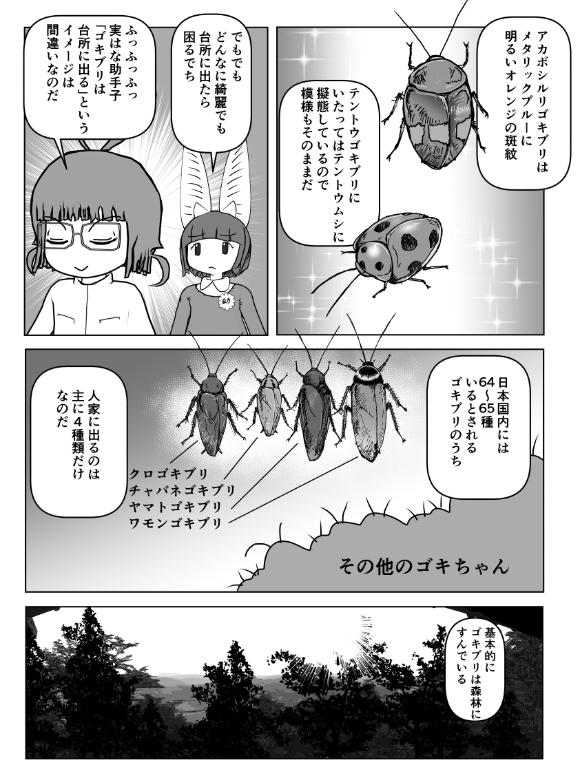#クック先生の動物講座 4p新作は現在資料の読み込み中なので再掲シリーズ。(一部で)伝説の人気作「ゴキブリ」2/2 