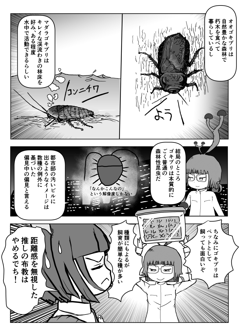 #クック先生の動物講座 4p新作は現在資料の読み込み中なので再掲シリーズ。(一部で)伝説の人気作「ゴキブリ」2/2 