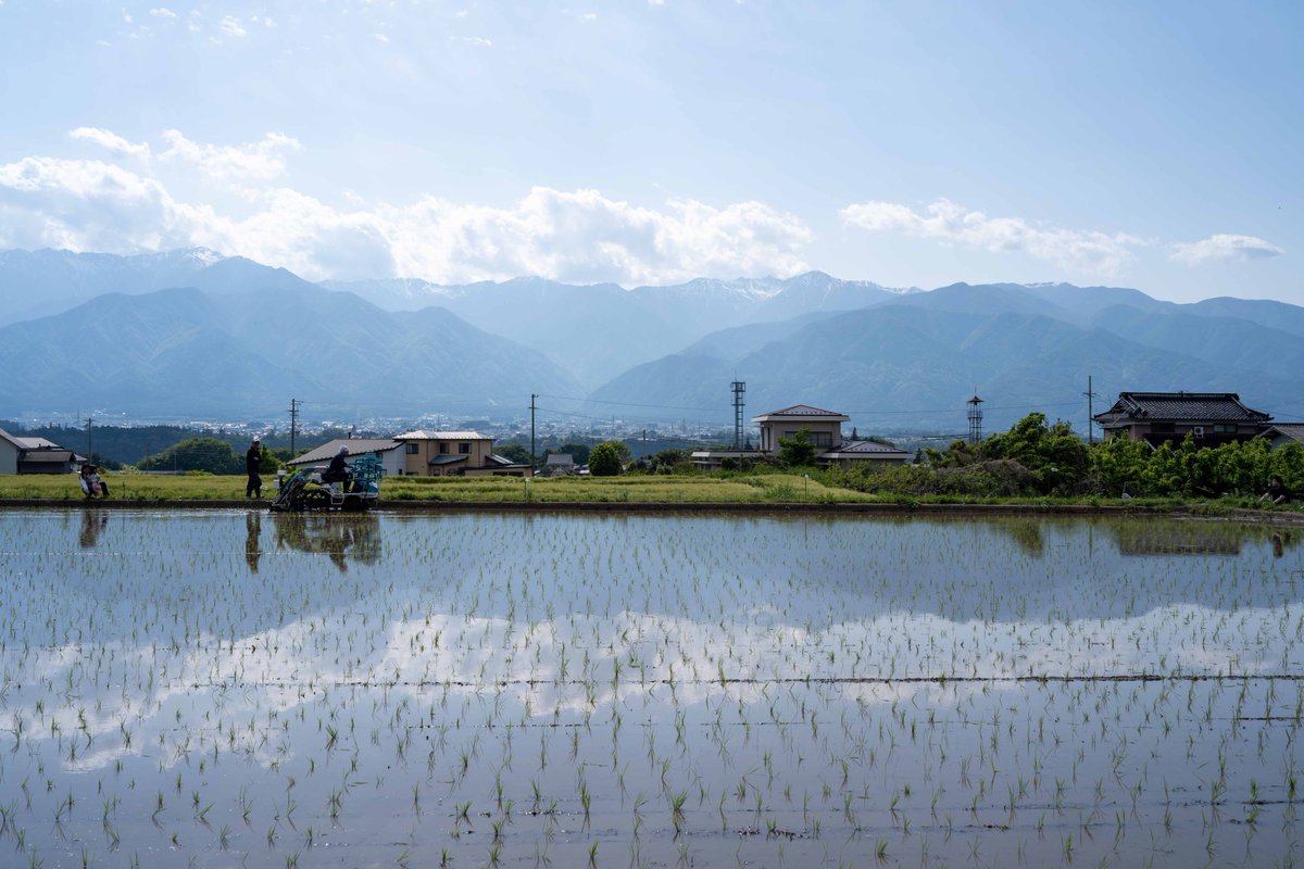 cometen88's tweet photo. // 6月の国立米店 //
田植えを終えた田んぼが、
初夏の空を映す水鏡になる季節です🌾

《和歌山POP-UP》
一果専心
- One https://t.co/xfxRAXU7F4 devotion.

🍙土鍋で炊いた米屋のおむすび
火-日 10:00-18:00

🍞お米のパン屋さん
月・火・金 10:00-16:00
（なくなり次第終了）
by りえ @rie_okomepan https://t.co/Bd40nb9MaN