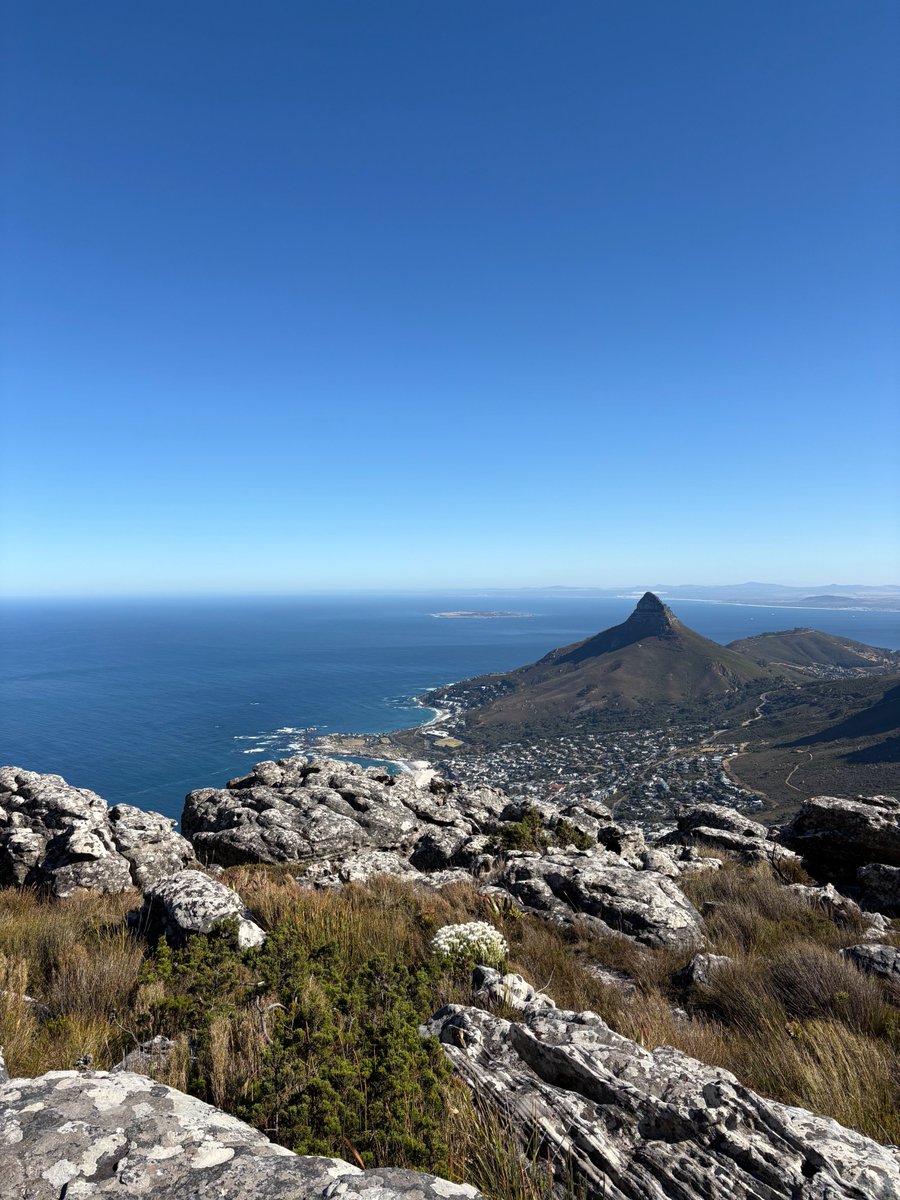 thomvlieshout's tweet photo. just go to cape town

go in debt if you have to https://t.co/U3kKNuX5bh
