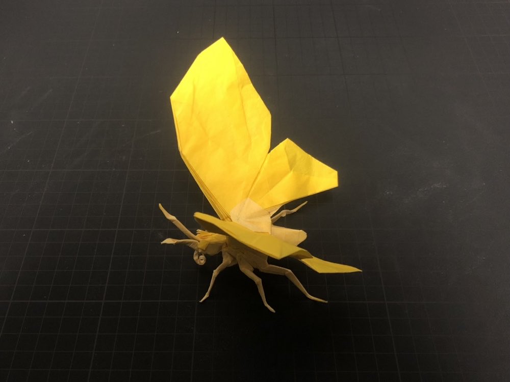 origamimura's tweet photo. チョウ

#折り紙 #折り紙作品 https://t.co/OSgcUguJos