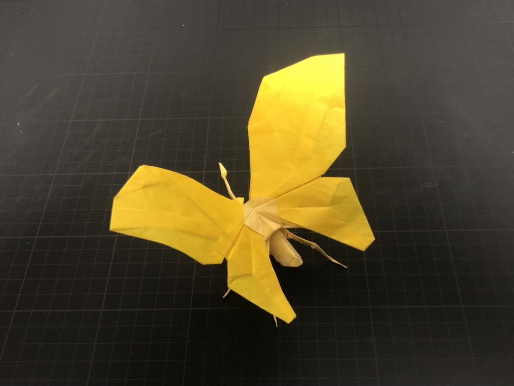 origamimura's tweet photo. チョウ

#折り紙 #折り紙作品 https://t.co/OSgcUguJos