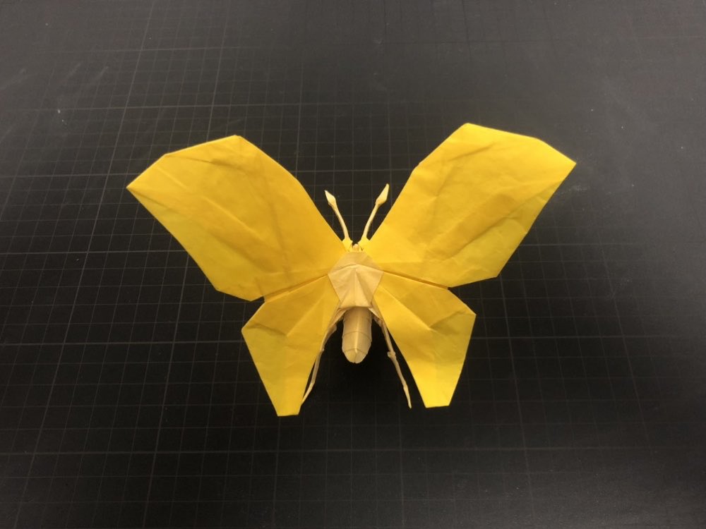 origamimura's tweet photo. チョウ

#折り紙 #折り紙作品 https://t.co/OSgcUguJos