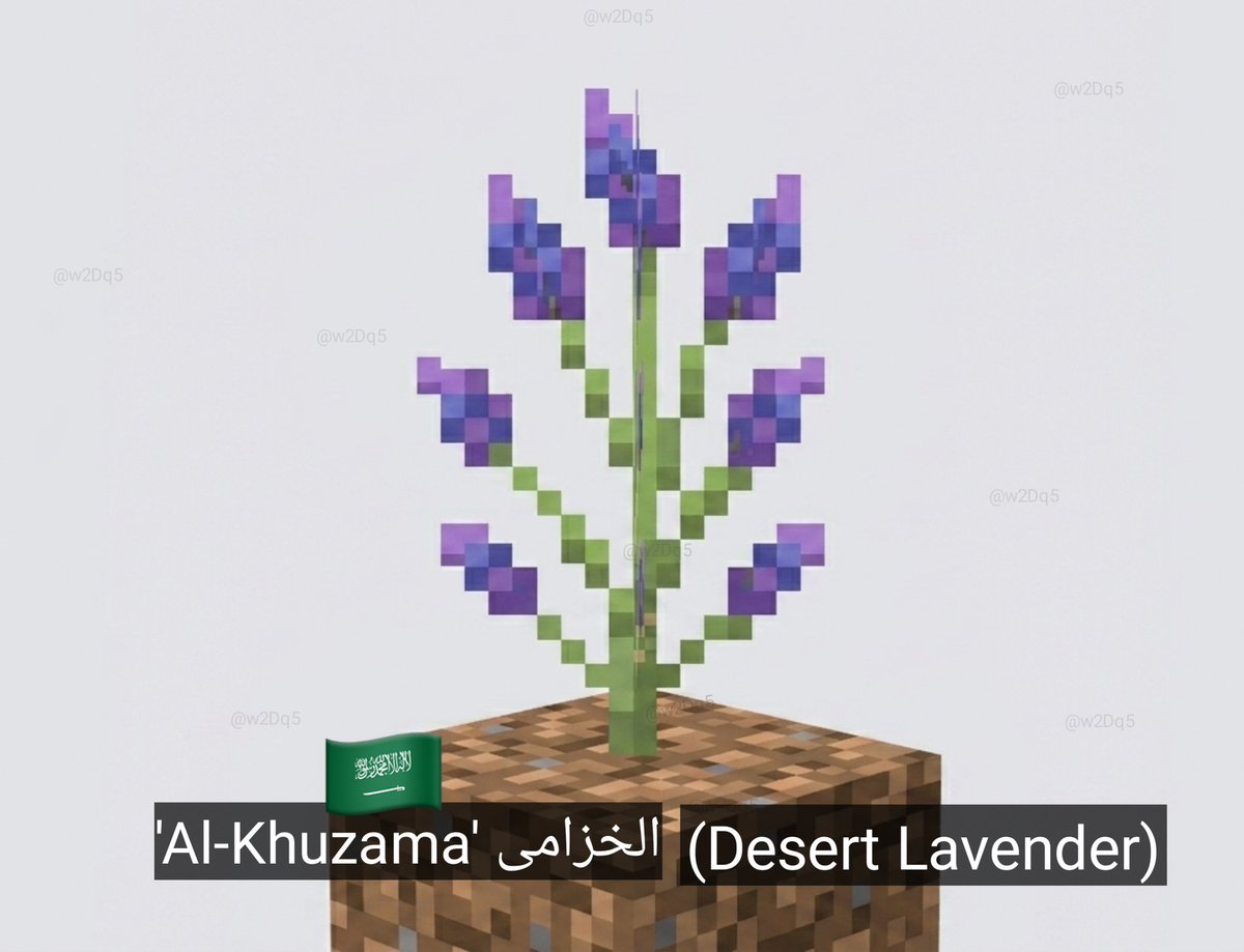 w2Dq5's tweet photo. Great point! Since Mojang is looking for new flowers, adding 'Al-Khuzama' in KSA🇸🇦 (Desert Lavender) would be the perfect addition to desert biomes. It brings a unique, natural beauty that fits the arid landscape perfectly.
#Minecraft https://t.co/M9RbpBM4Xu