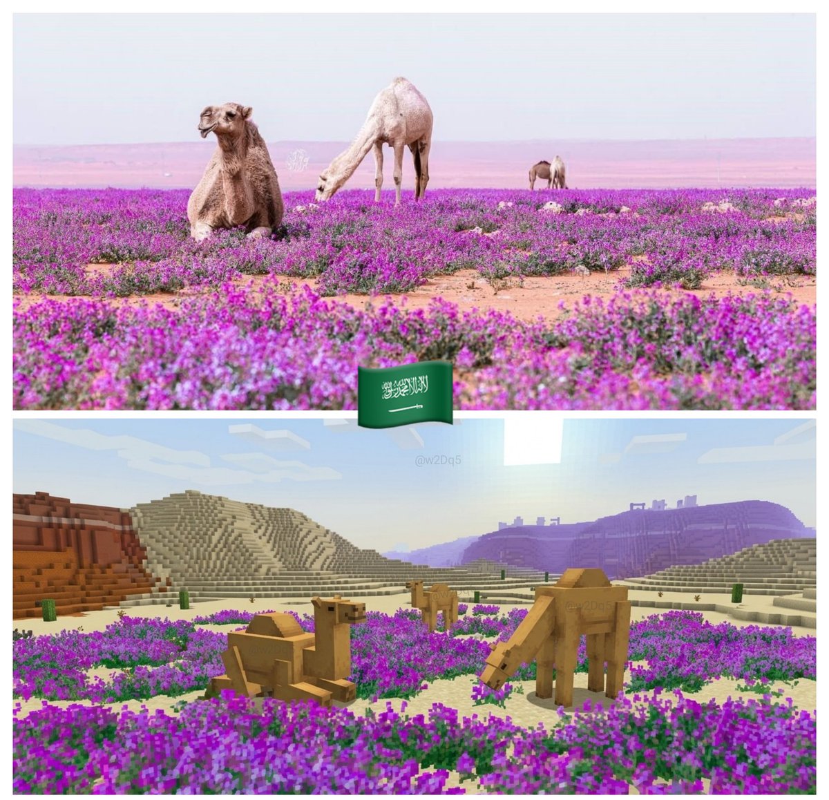 w2Dq5's tweet photo. Great point! Since Mojang is looking for new flowers, adding 'Al-Khuzama' in KSA🇸🇦 (Desert Lavender) would be the perfect addition to desert biomes. It brings a unique, natural beauty that fits the arid landscape perfectly.
#Minecraft https://t.co/M9RbpBM4Xu