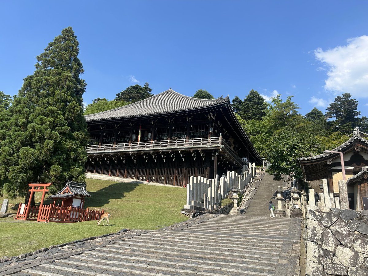 refcoarecon's tweet photo. 本日は、奈良国立博物館で開催されている、「吉野、大峯展」を観るつもりで奈良公園に行ったのですが、休館日でした。
うっかりしてました。
折角なので、久しぶりに東大寺を参拝して帰ってきました。
観光客と鹿で混雑していました。 https://t.co/Bc8BVrKuyz