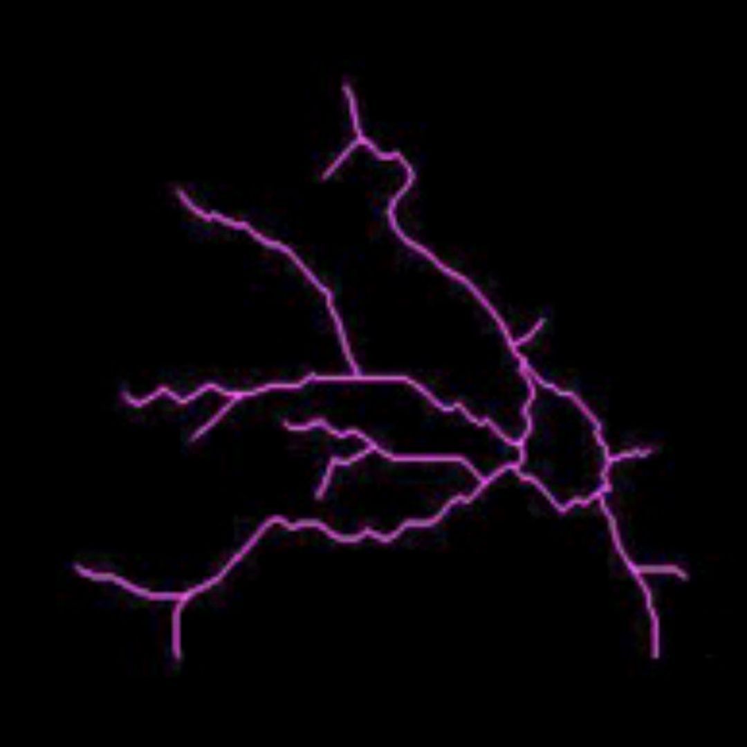 JCI_insight's tweet photo. The translational potential of #metformin in #HuntingtonsDisease is compelling: https://t.co/NqME8cH7Nq

Robert M. Friedlander & team report metformin regulates mitochondrial fission, reprograms deregulated metabolism in HD microglia, and controls microglial activation and inflammation in HD transgenic mice.

The image shows traced microglial morphology from striatum of the HD mouse model R6/2 treated with metformin.