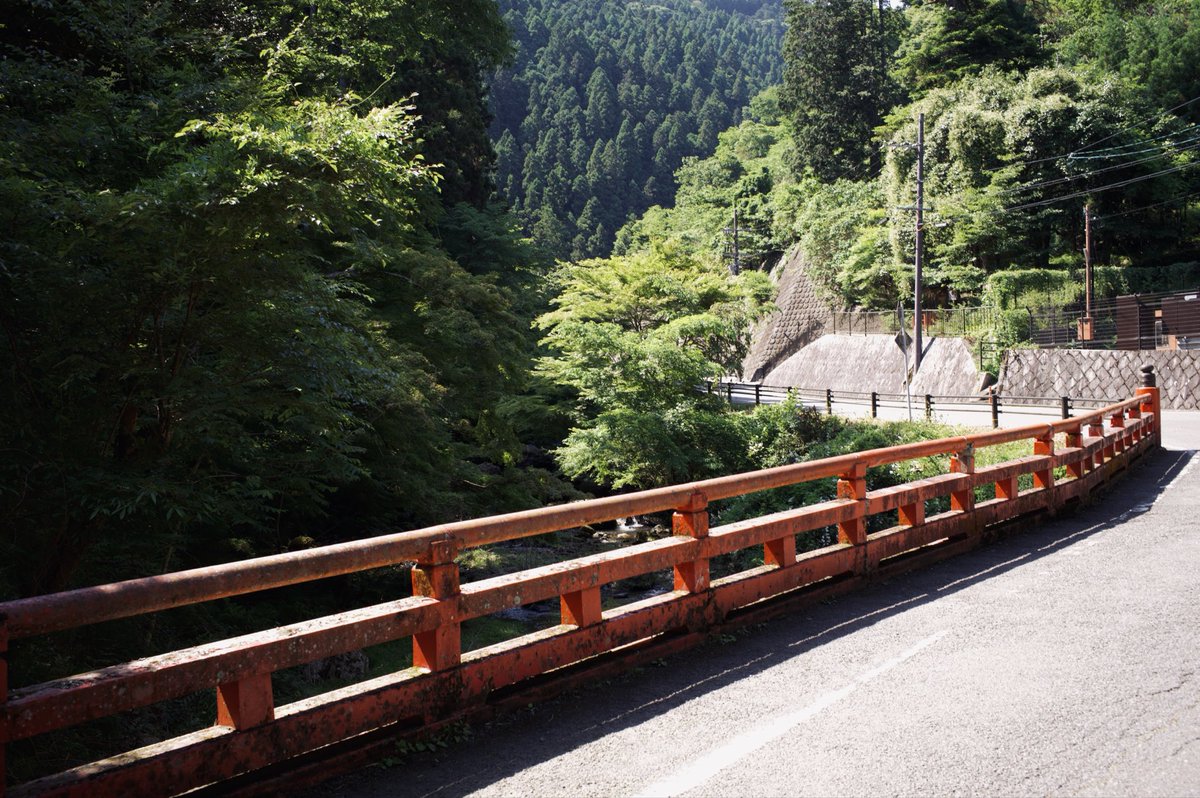 usaayy's tweet photo. kyoto2 https://t.co/YC3r79WEyr