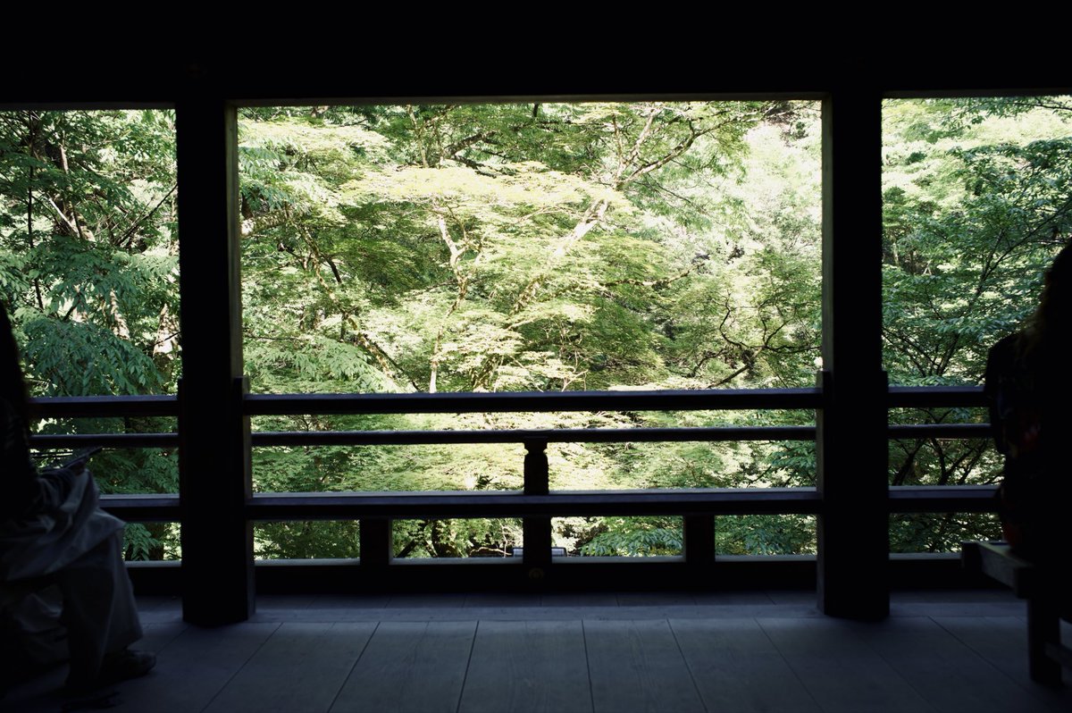 usaayy's tweet photo. kyoto2 https://t.co/YC3r79WEyr