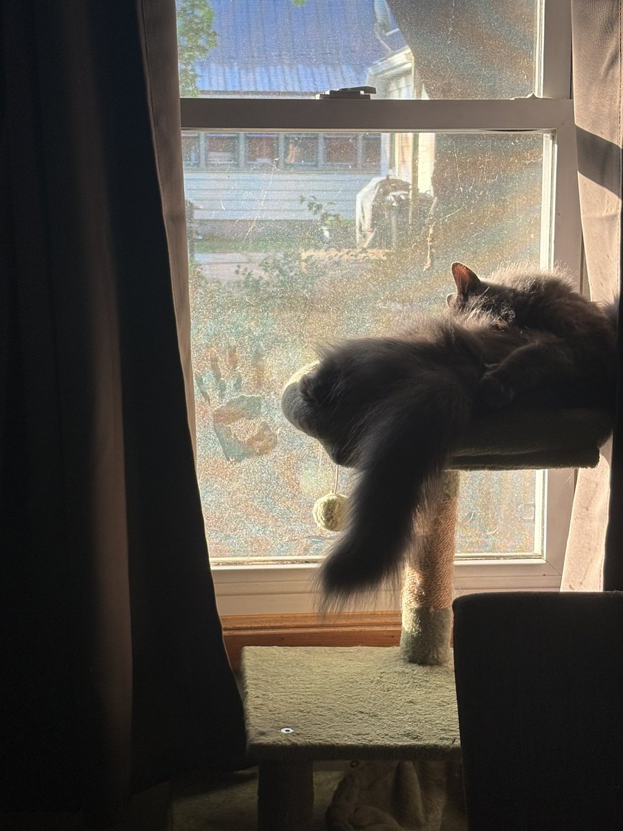 NotEden0's tweet photo. Snuck my friend in…. My mom thought someone tried to break in… https://t.co/3nNdho2pvj