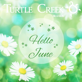 Turtleup tweet picture