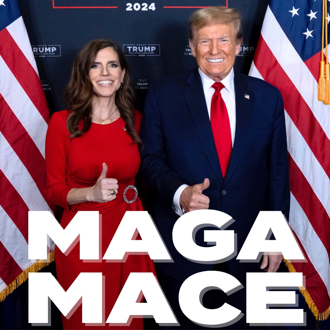 Nancy Mace tweet media