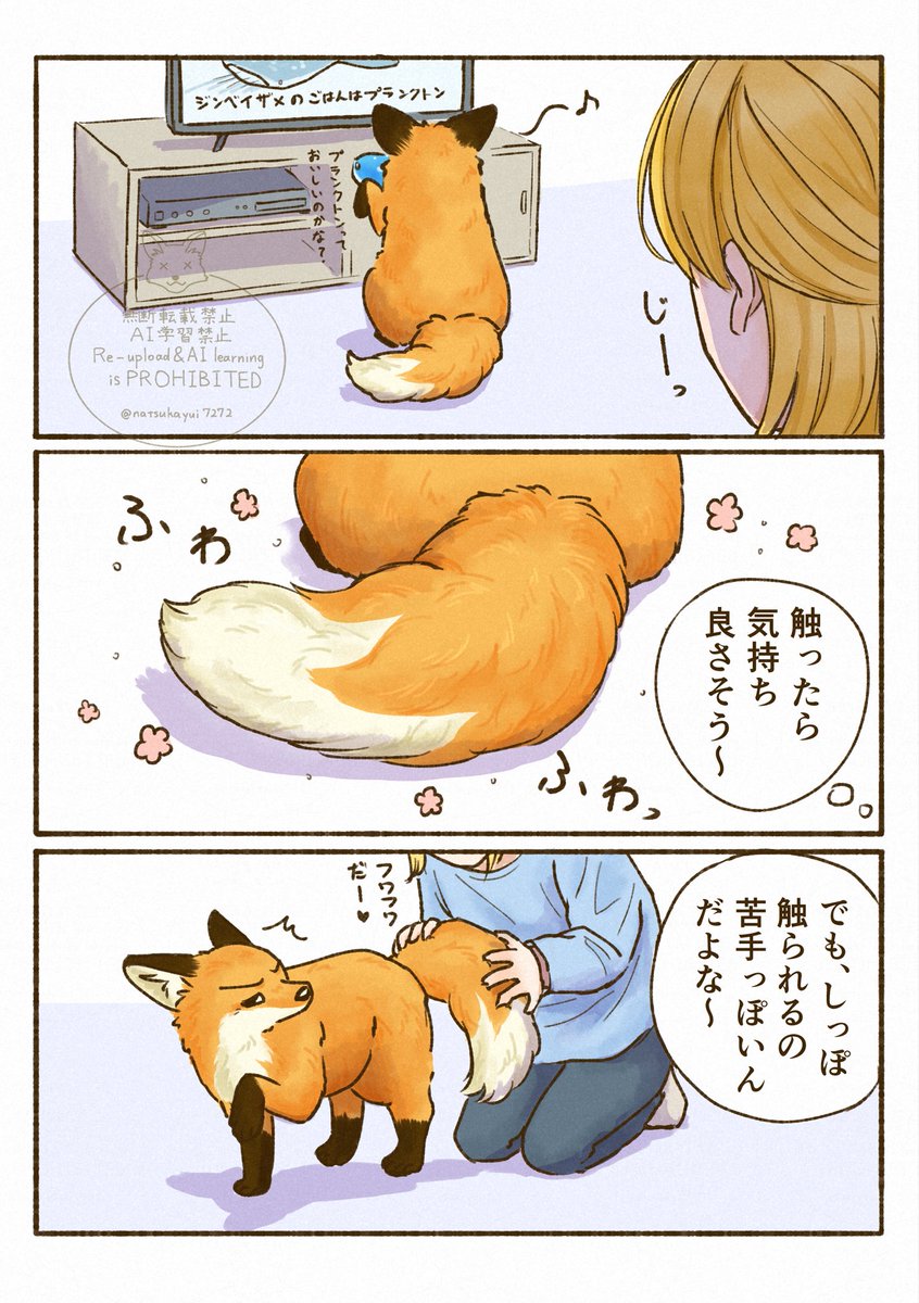 夏朱 優衣/ 書籍「きつねと一緒に暮らしたら」発売中🦊 tweet media