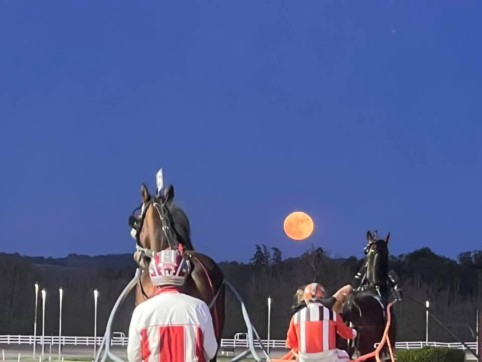 greystable's tweet photo. Beautiful moon at Vernon Downs https://t.co/48KhZMAKQx