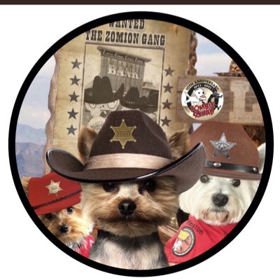 BraveWinston's tweet photo. #NewProfilePic https://t.co/WsbguHurcx