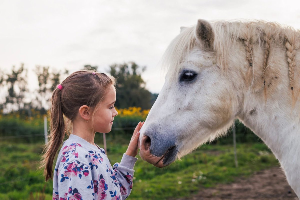 growuptobekind's tweet photo. Animal-assisted therapy harnesses the natural, non-judgmental bond between humans and animals to help children build empathy, regulate emotions, and reduce anxiety. Visit https://t.co/q8AiXwEqmN #childrensmentalhealth https://t.co/GxAMC6tiqj