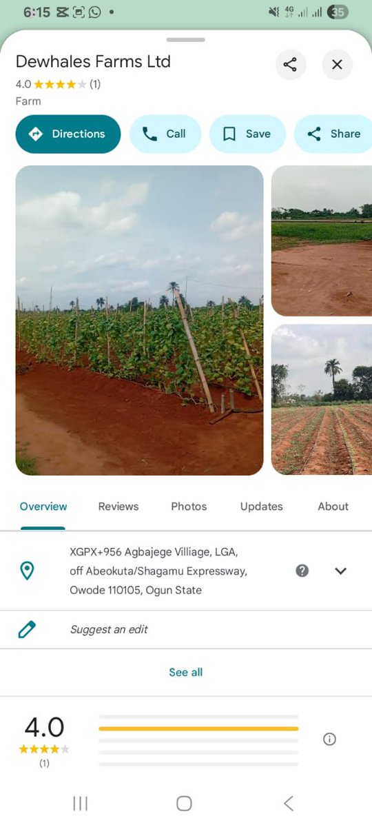 WinClub001's tweet photo. How does a company expect workers to remain committed when salaries have been delayed for over three months and counting?

Employees of Dewhales Farm Ltd show up daily, contribute their time, effort, and skills, yet many are still waiting to be paid for work already done. https://t.co/iFH58yTUXh