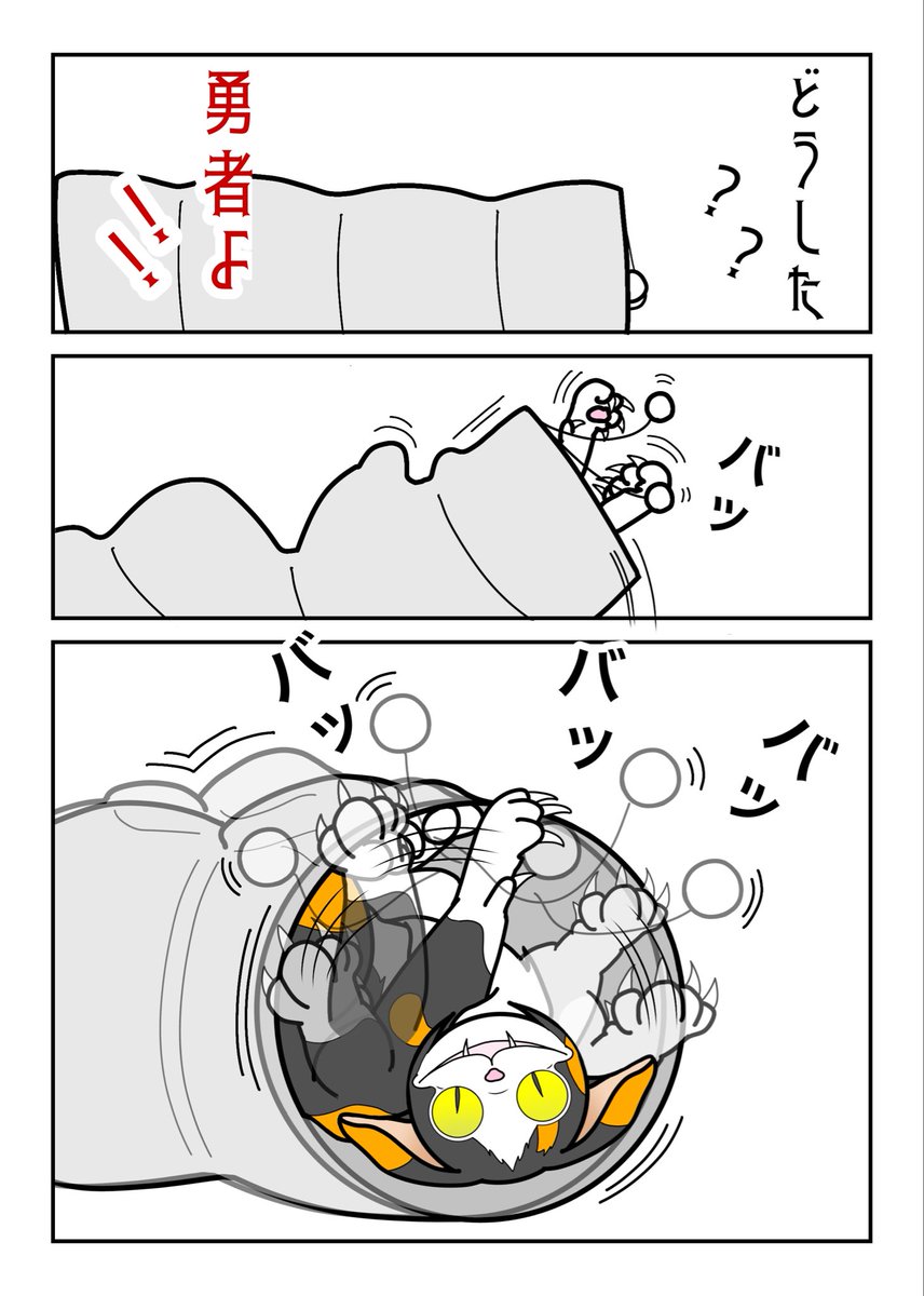 KuninA007's tweet photo. 今日のオルの冒険は何かな?

#猫漫画  #三毛猫 #猫あるある
#kindleインディーズ https://t.co/qdGkwnbBCu