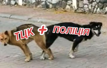 Мурзік Васильович повертається tweet media