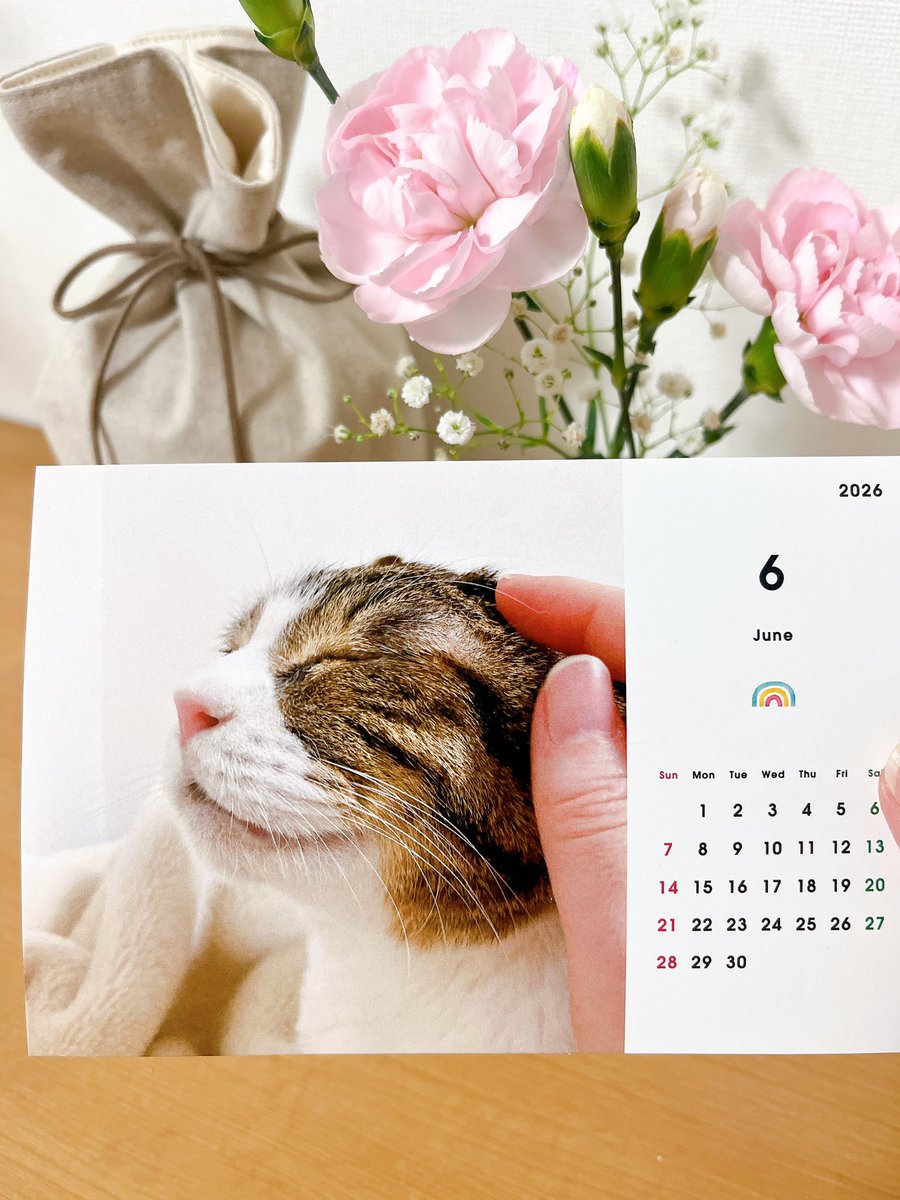 usahimepink's tweet photo. 🍀Hello, June!🍀

6月ですね
今月は私の誕生月でもあるので
カレンダーは特にお気に入りの1枚
ﾅﾃﾞﾅﾃﾞされて嬉しそうなカンタさん

今月もよろしくお願いします

#お空組 https://t.co/y2P51wYqtb