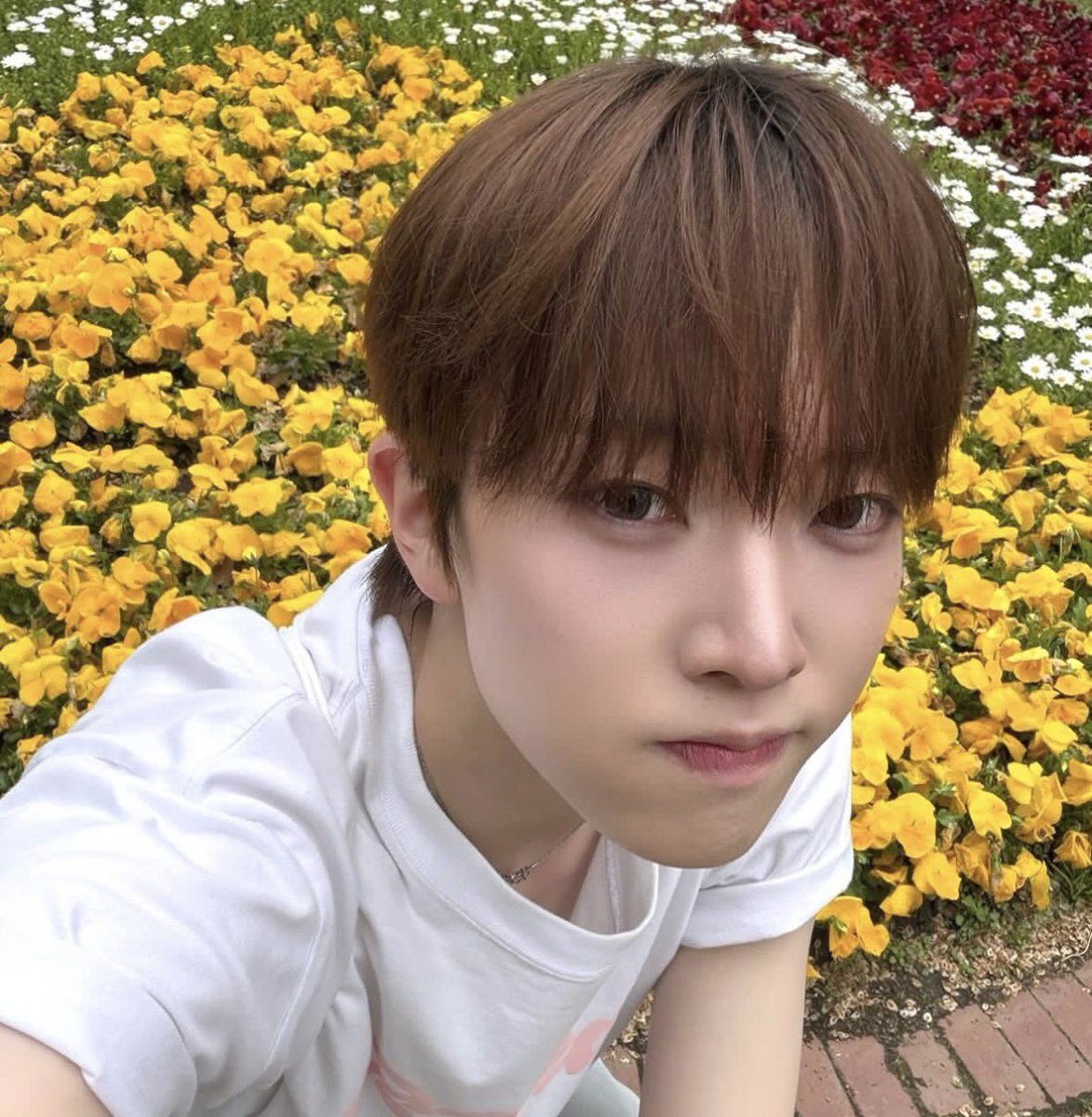 ツーベリー🥁🌠 tweet media