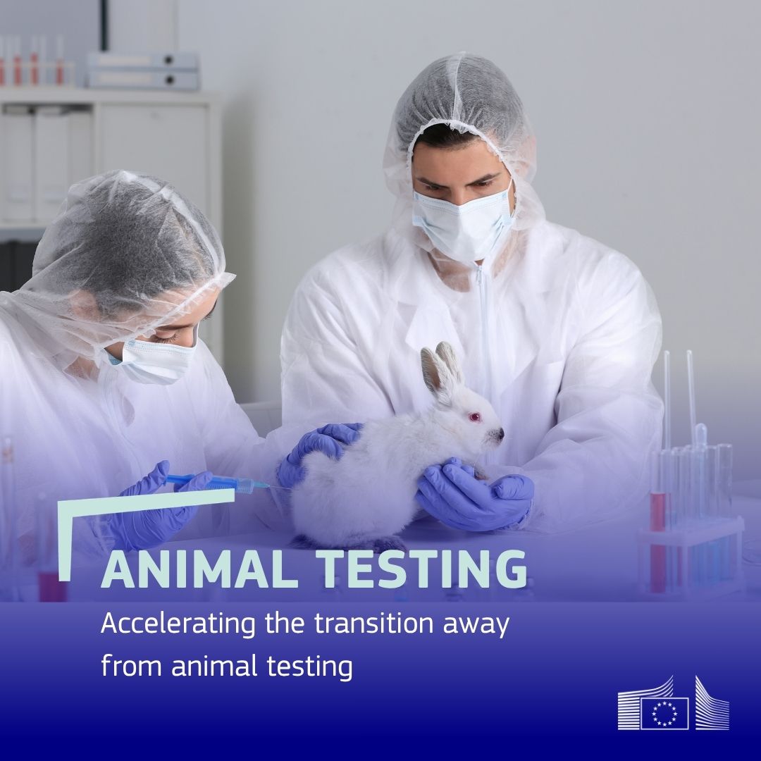 EU_Commission's tweet photo. We are accelerating the transition away from animal testing in chemical safety assessments.

Our roadmap will preserve a high level of protection for human and animal health and the environment.

🔗https://t.co/TtoC2ftVH1 https://t.co/Um8GvK00vB