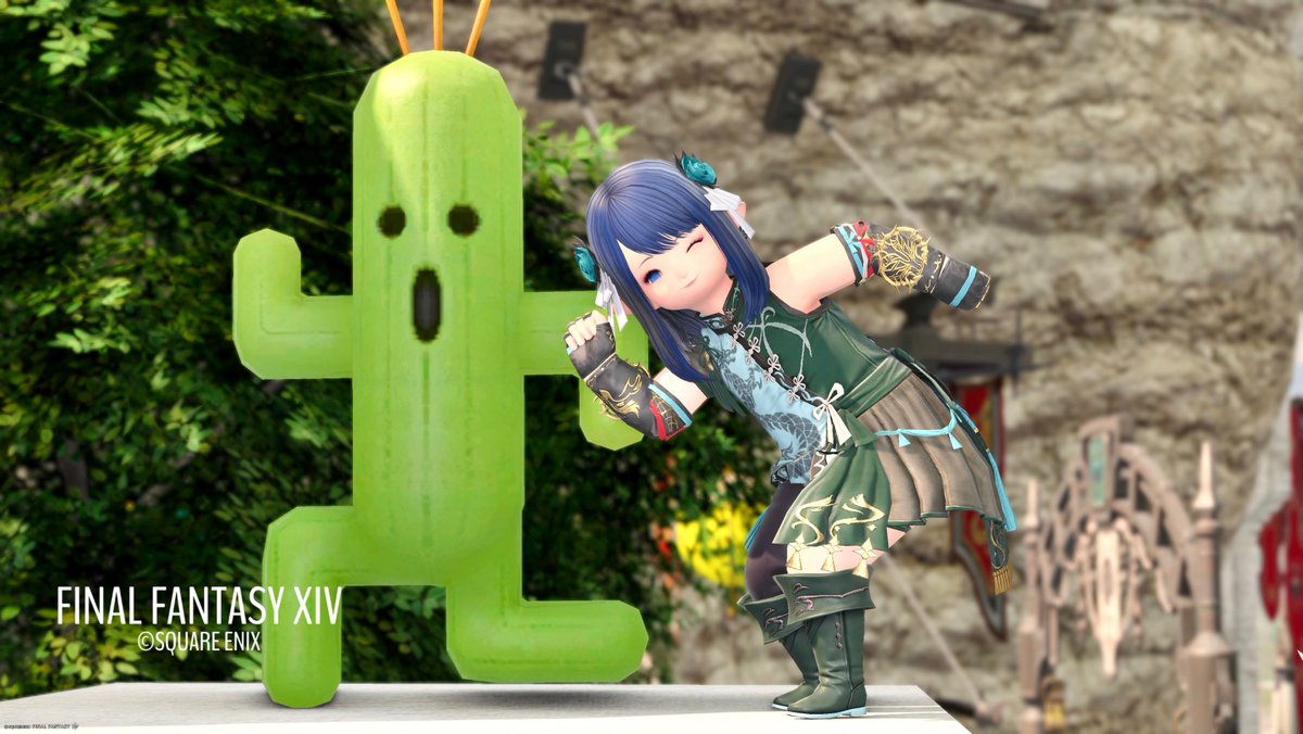 Post by あおくらげ on X: かわわわわ🌵
