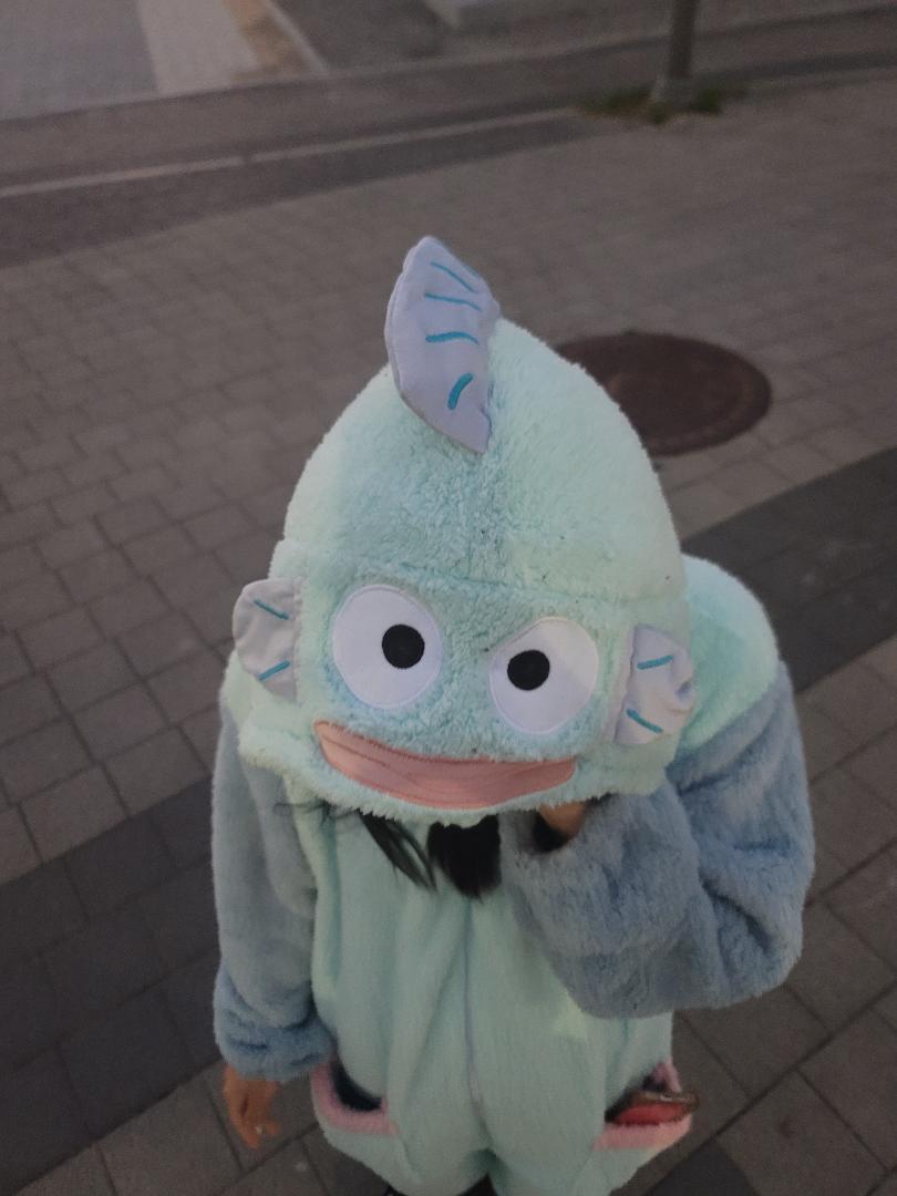L (ㅌㅊㅅ 팔 받아ㅏㅏㅏ!!!) tweet media