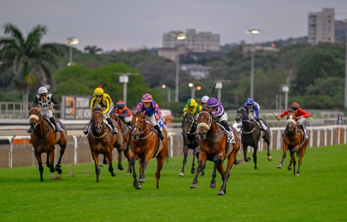 MickaelleMichel's tweet photo. Had an amazing double Saturday started by the prospect 2yo Coast of the Sun and Daily News Gr1 with Star Major! 🏆🏆😍

Big thanks to both team involved 🥹🥹 https://t.co/HaKM2dDXj0