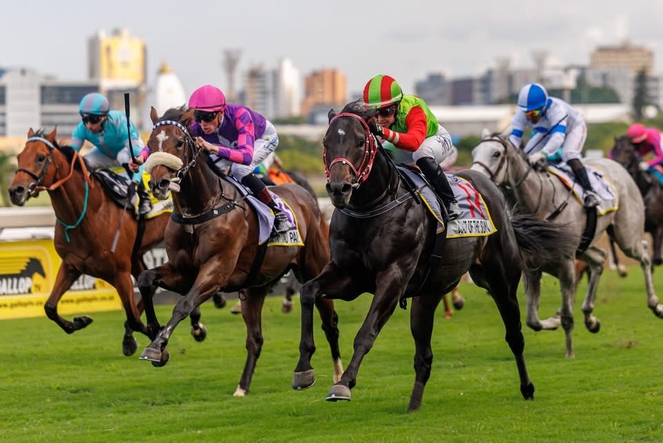 MickaelleMichel's tweet photo. Had an amazing double Saturday started by the prospect 2yo Coast of the Sun and Daily News Gr1 with Star Major! 🏆🏆😍

Big thanks to both team involved 🥹🥹 https://t.co/HaKM2dDXj0