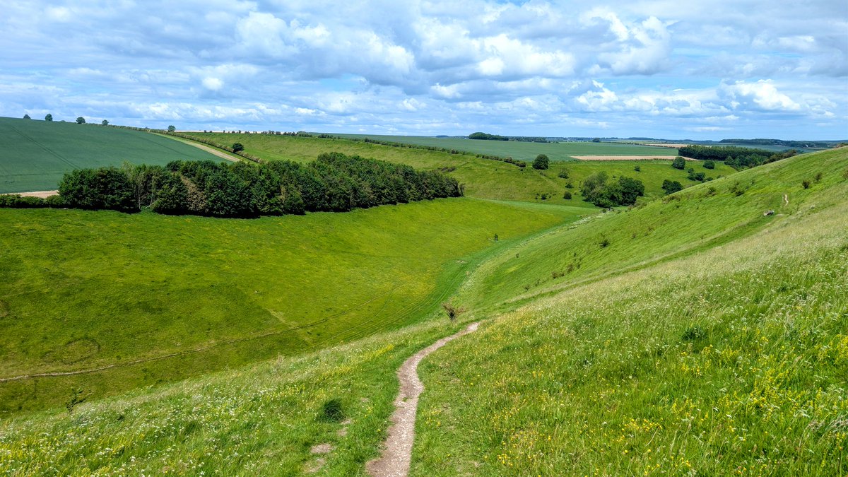 ElsaH91's tweet photo. Lovely walk yesterday along the Wolds Way at Huggate. Stunning, and good for the soul 💚🥾 https://t.co/Fd5djZOJWj