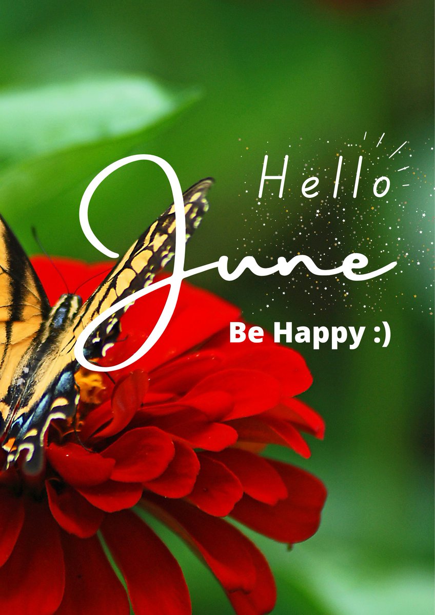 Busseys's tweet photo. New month, fresh blooms! 🌺🌼 We’re so excited to share our latest floral designs welcoming the new month, Father's Day, Summer and more!🥰

✨https://t.co/OwW4Hdw7lT
#hellojune #junebeauty #freshflowers #summerfun #weddingflorist #busseysflorist #romeflorist #rockmart #cedartown https://t.co/QGJVsvSYz3