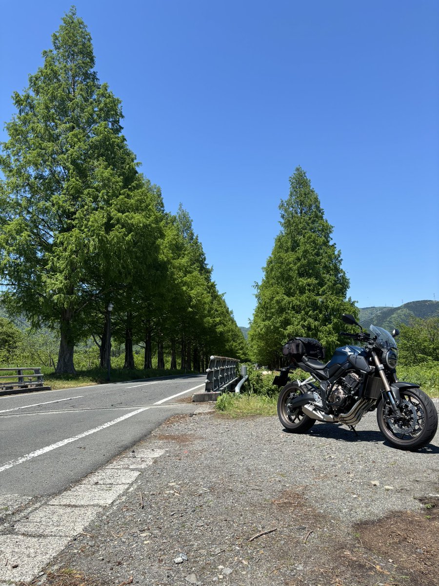 mt25mt3's tweet photo. #5月を写真4枚で振り返る
メタセコイア並木🌲🌲
富士クラシック☀️
大石公園🪻
山中湖パノラマ台のちょっと上で🗻
写真撮ってバイクに跨ったら右脹脛が
攣って🦵イタタァ〜😆
5分位跨ったままフリーズしてました🤣

みなさん６月もご安全に🏍️🛵🚴‍♀️🍀 https://t.co/TuPcFqifvV