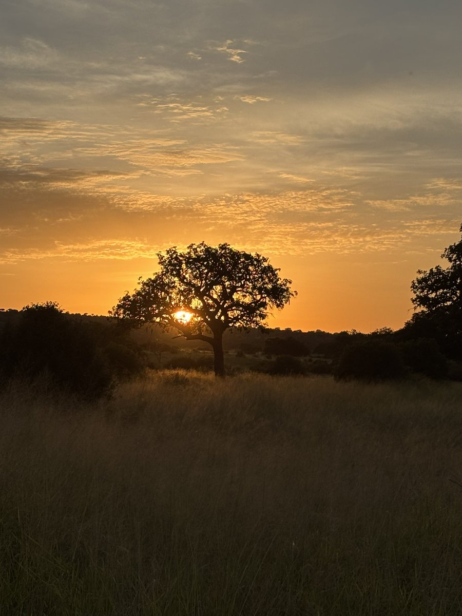 pargaien's tweet photo. Share your stunning sunsets 🌅 

QT/RT https://t.co/UiD8n9CUSF