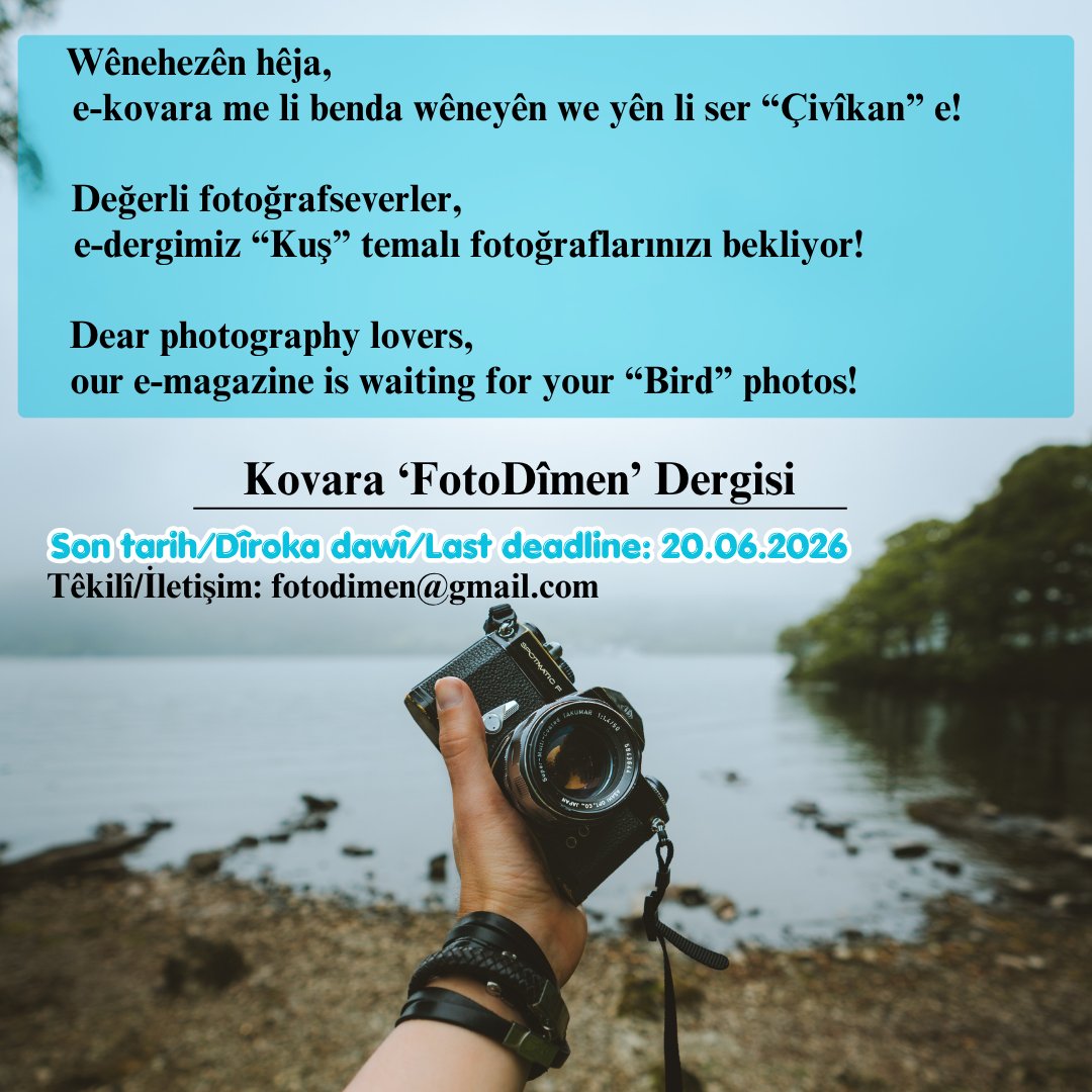 fotodimen's tweet photo. 📷 Wênehezên hêja,
e-kovara me li benda wêneyên we yên li ser "Çivîkan" e!

Değerli fotoğrafseverler,
e-dergimiz "Kuş" temalı fotoğraflarınızı bekliyor!

Dear photography lovers,
our e-magazine is waiting for your "Bird" photos!

*Hejmara taybet a kovarê./Derginin özel sayısı. https://t.co/ijKGrL2rOM