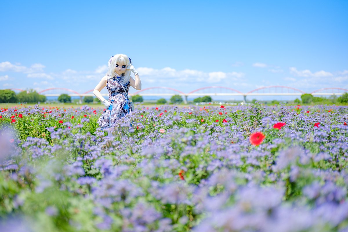 AgentSuzuri's tweet photo. もう６月ね。風が出てきて嵐の予感がするわ。

photo:@catyray8113 https://t.co/2vbL3FDF15