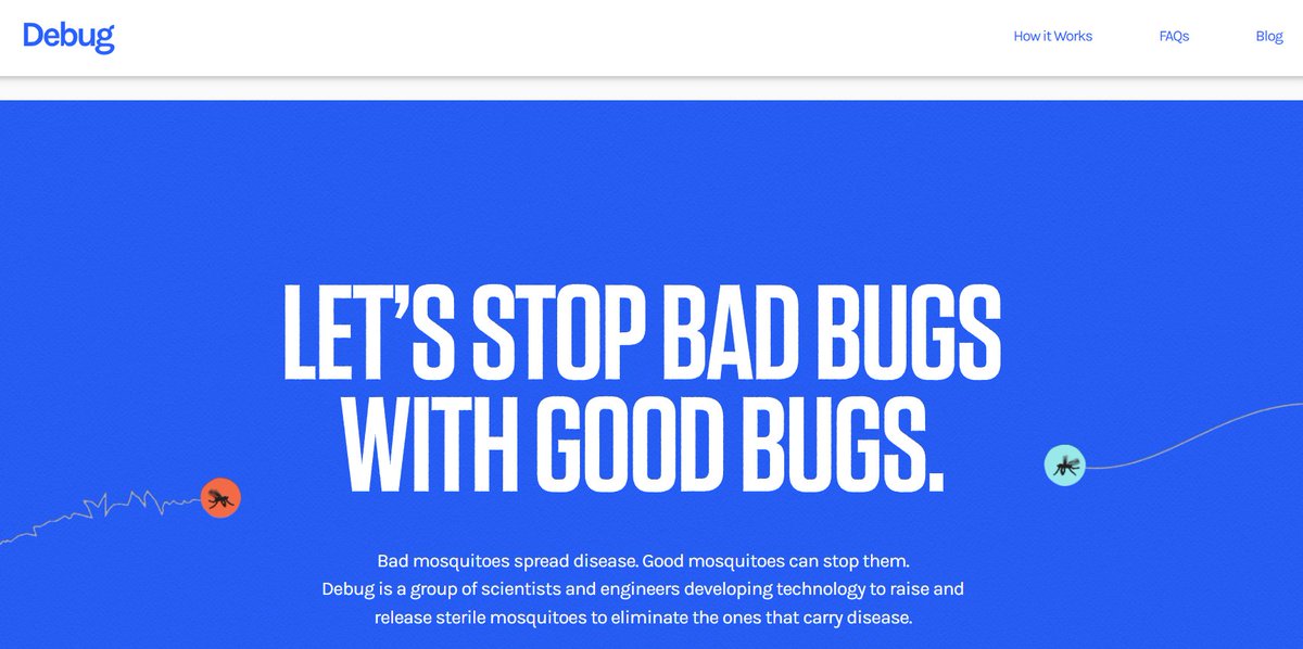 Miss_Royal73's tweet photo. 🦟 #Google wil 32 miljoen speciaal behandelde mannelijke #muggen vrijlaten in delen van California en Florida. Google ziet gezondheidszorg als de ultieme test voor hun kunstmatige intelligentie. 🤔
Hun #DebugProject is bedoeld om de populatie van gevaarlijke, ziekteverspreidende muggen drastisch te verkleinen of uit te roeien. Bepaalde muggensoorten verspreiden gevaarlijke ziektes zoals #dengue (knokkelkoorts), #zika, gele koorts en chikungunya. Omdat mannelijke muggen niet bijten, worden er miljoenen "goede", steriele mannetjes losgelaten om te paren met wilde vrouwtjes, waardoor hun eitjes niet uitkomen en de populatie instort.
Ik heb er weer álle vertrouwen in... 😎