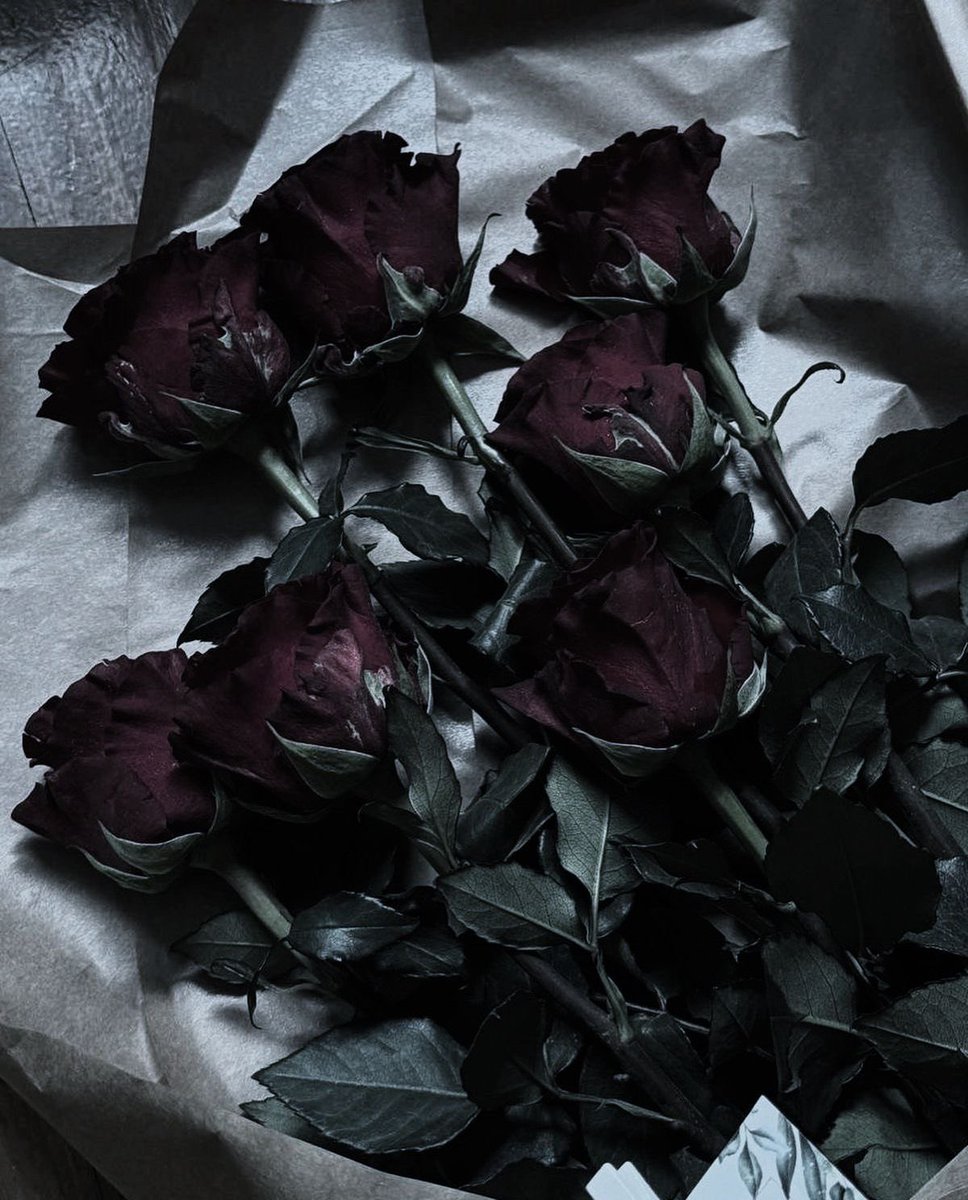 darkdreamvibe's tweet photo. https://t.co/UO0k4Mu7Ga