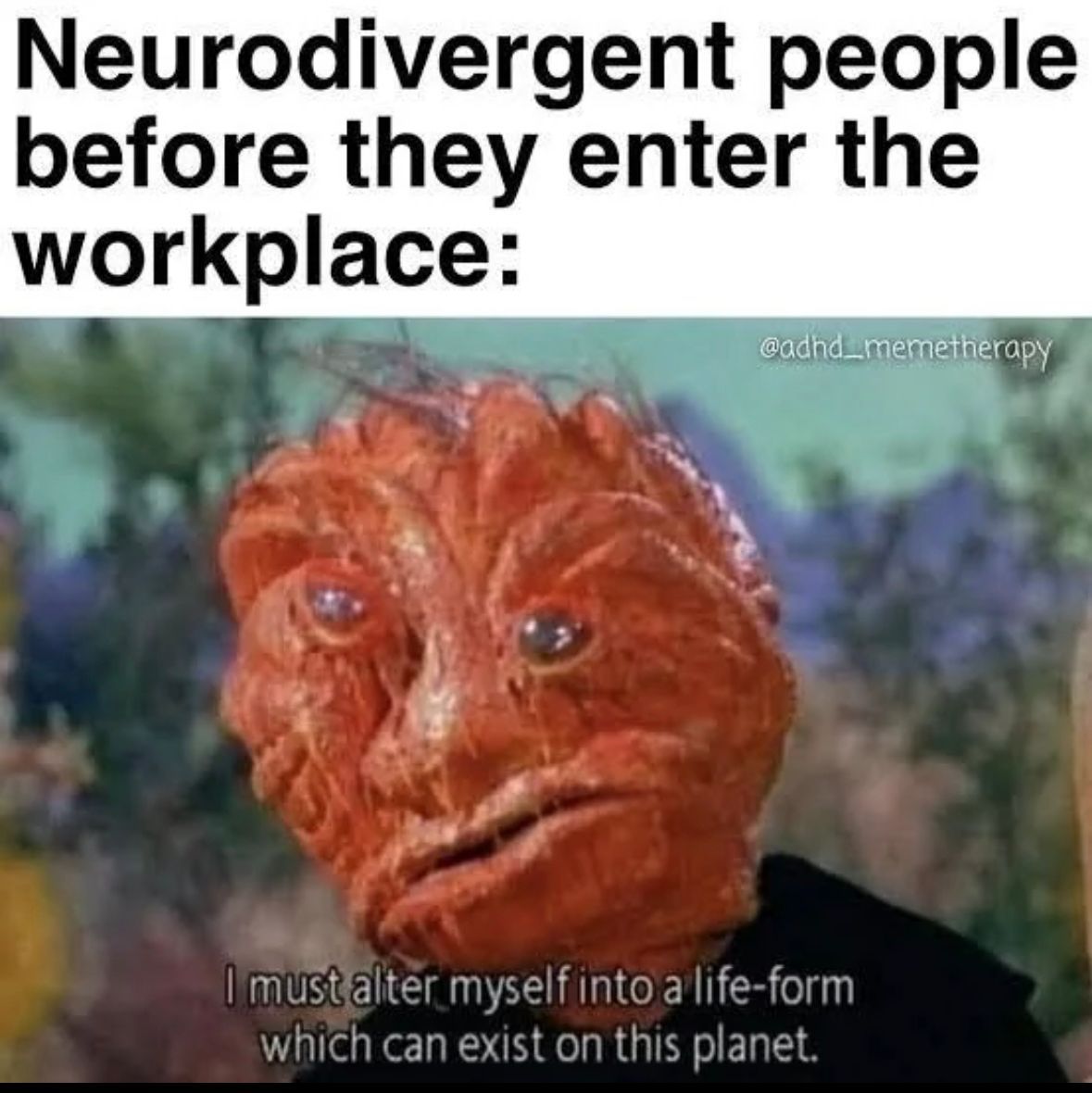 ADHD Memes tweet media