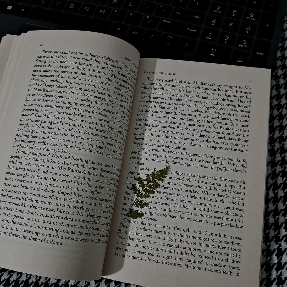 Aprill_BTS__'s tweet photo. Calming evening 📖 #books #Calming #read https://t.co/u8w5ERKLlL