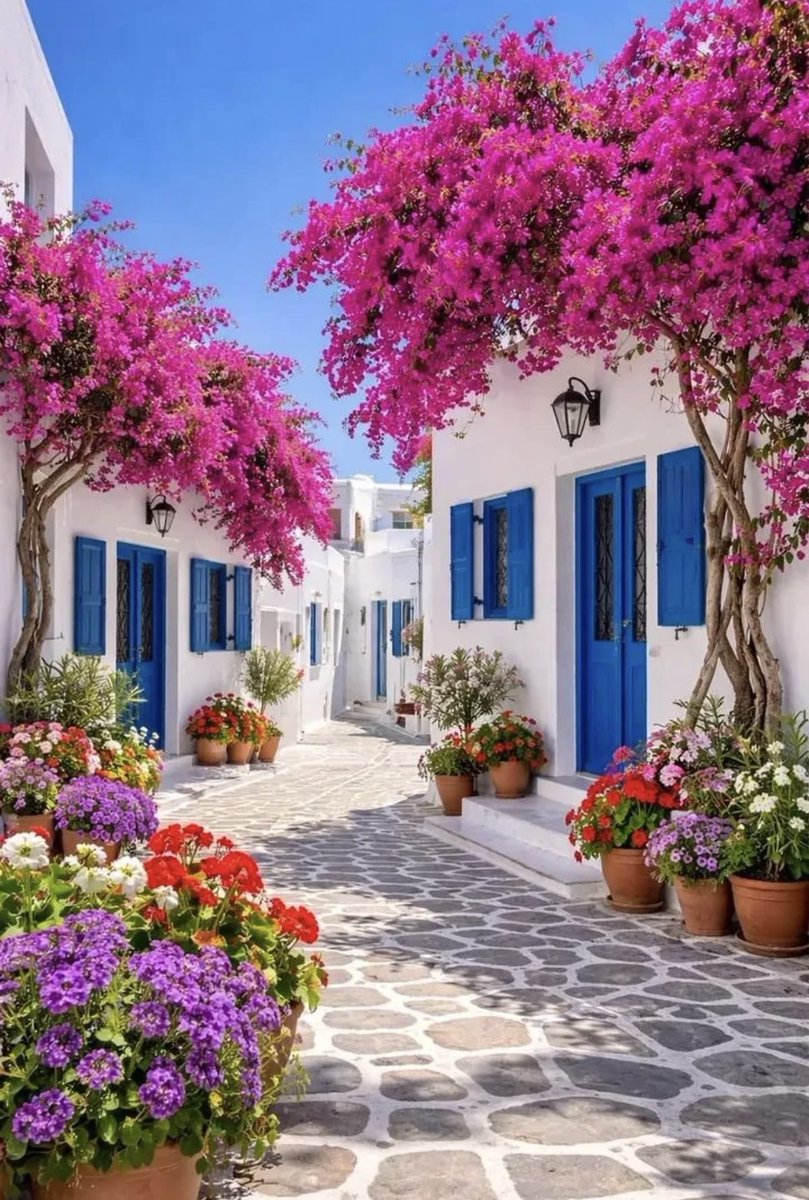 helena_mar19's tweet photo. Beautiful 

(📷 Pinterest) https://t.co/xorQFLrhXK