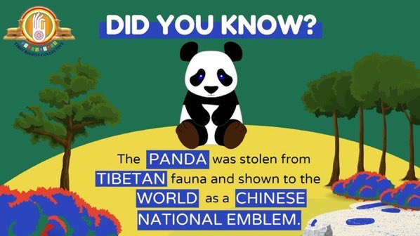midori07777777's tweet photo. @kate68_102 They were born in Korea.
It’s not “return” to China.
CCP is “abducting” pandas that really don’t belong to them. 

@elonmusk
Don’t suspend my account for telling the “truth” that pandas do not belong to China. https://t.co/ZIF0SyGjvz