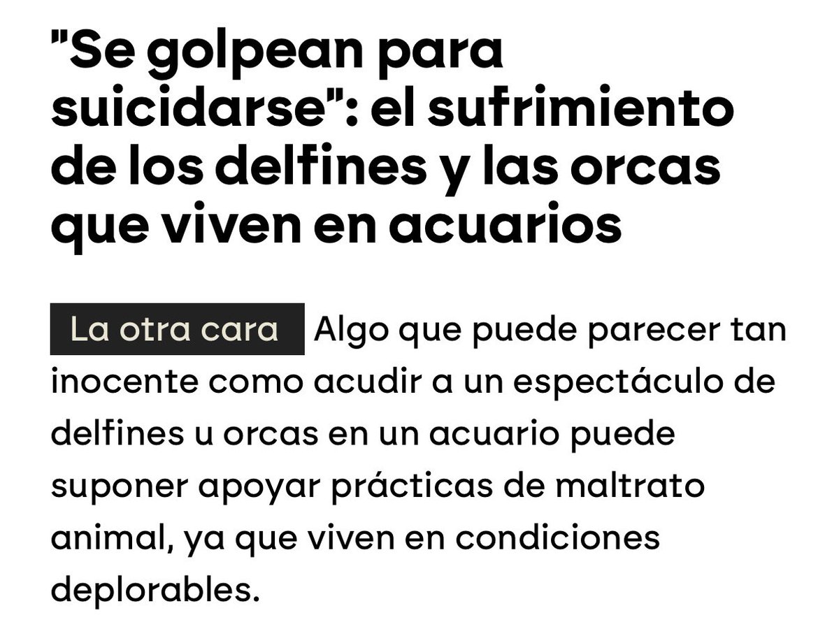 BlueRapsberry_'s tweet photo. Si la gente supiera la cantidad de animales que se han suicidado en los zoos debido a la depresión, dejaría de ir a ver animales enjaulados en recintos que ni siquiera tienen espacio suficiente para nadar o correr. Y ya cuando les pintan las paredes, me dan ganas de romper cosas. https://t.co/UPba3ERELf