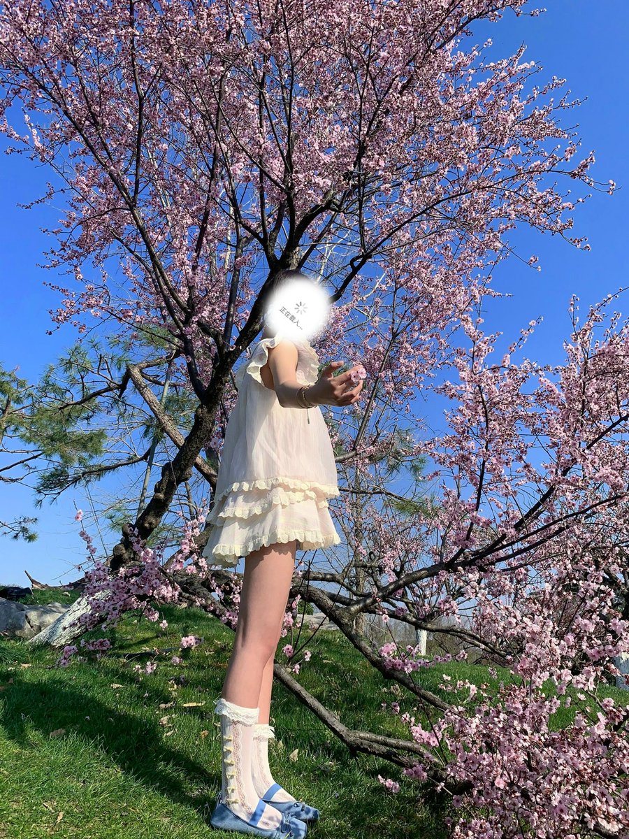 涂涂姐 tweet media