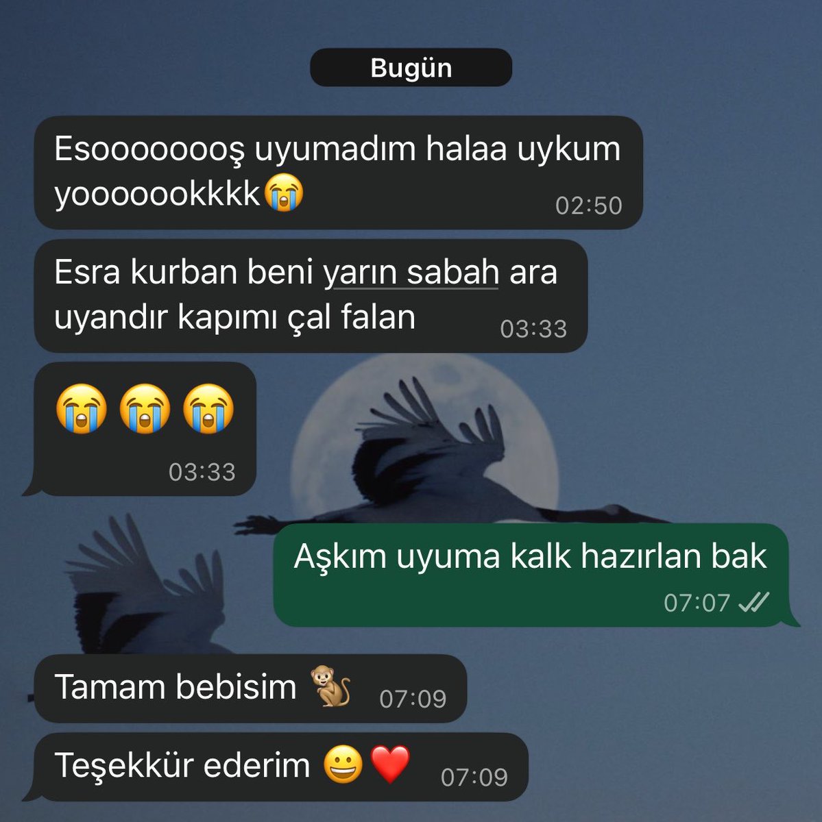 tlk_esr's tweet photo. kapı komşum beni alarm olarak kullanmaya başladı 🫰🏻🥰 https://t.co/Ipneese45i