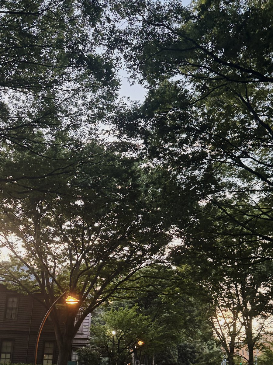 6grace9's tweet photo. 金晩は友人達とビストロ近況会→土曜は社会人向け講座の授業→同期と大学図書館散歩→8年ぶりの旧友と緊急ディナー→講座の課題→日曜は銀ブラデート→タスク消化→夜の芝公園散歩→月朝はピラティス。

人との出会いと学び。私が大切にしたいことの魔法みたいな力を、改めて手触りで感じられた週末📚 https://t.co/C9yW4z1hjn